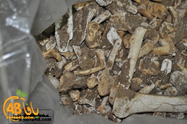 maqbara qeshleah (8).jpg